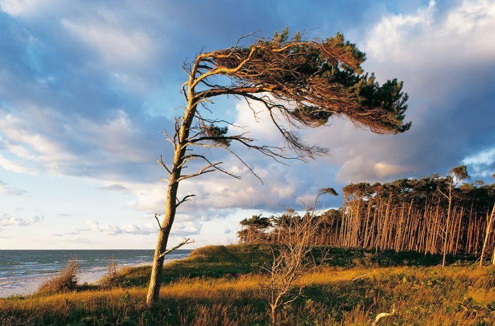 Ferienwohnungen Duenenmeer Dierhagen Exterior photo